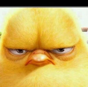 Meet your Posher, Gilberto